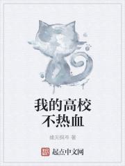 高校热血先锋有什么用