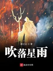 更吹落星如雨上一句