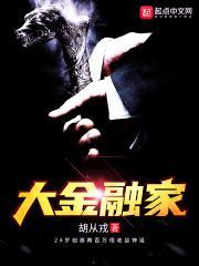 大金融是指
