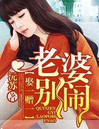 娶一赠一老婆别闹了全文免费