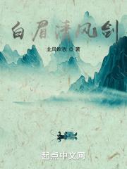 白眉大侠剑客的等级
