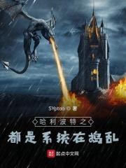 哈利波特系统类
