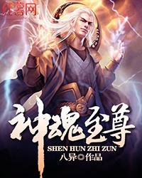神魂至尊剧情