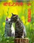 重生之再来一次 女尊