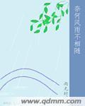 奈何相逢不识君的意思
