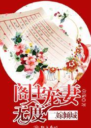 二嫁免费阅读全文