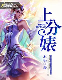 上分婊如何上分