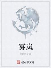 雾岚地图区域的NPC