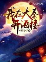 我在大秦开酒楼笔趣阁