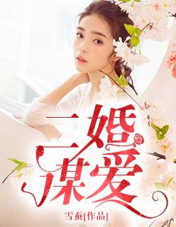 二婚 全文免费阅读