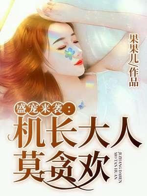 机长大人别来无恙全文免费