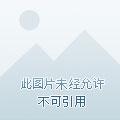 另一个他怎么组词