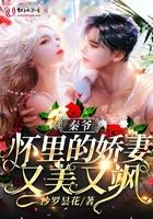 秦爷怀里的娇妻又美又飒免费阅读