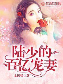陆少的千亿盛宠无弹窗免费阅读